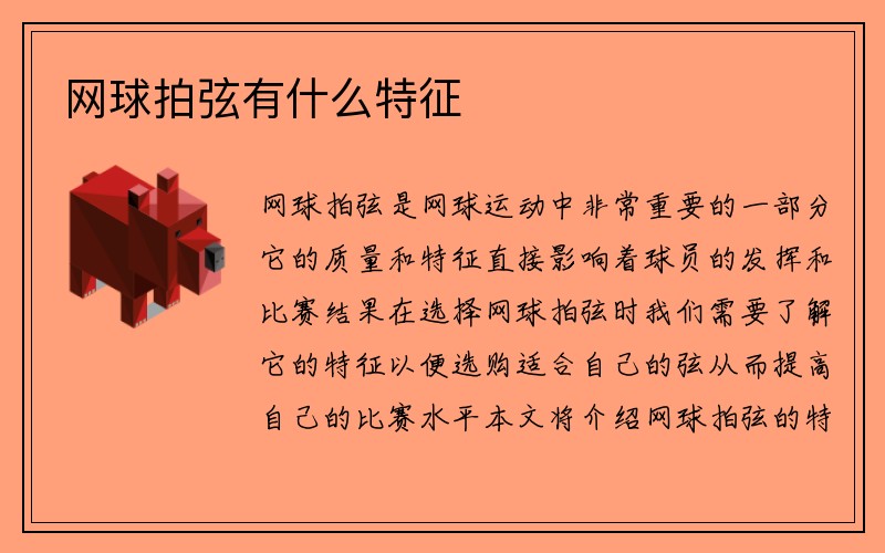 网球拍弦有什么特征