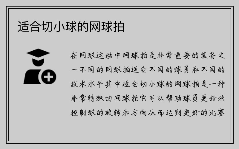 适合切小球的网球拍