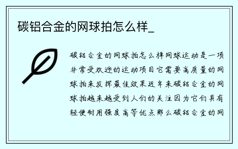 碳铝合金的网球拍怎么样_