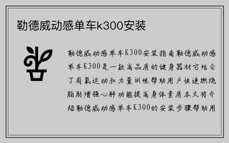 勒德威动感单车k300安装