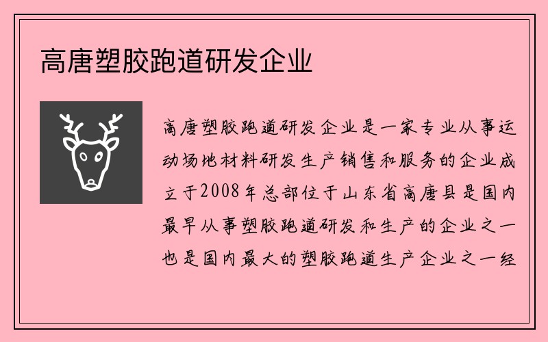 高唐塑胶跑道研发企业